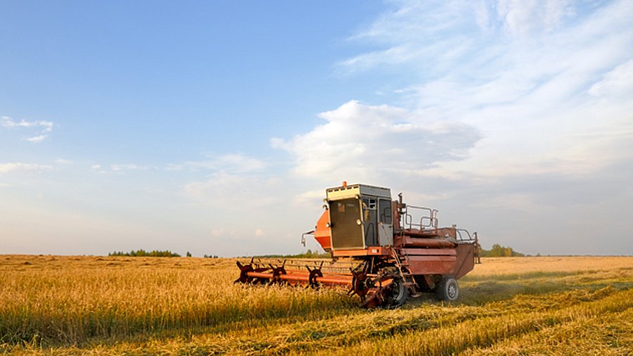 Mähdrescher bei der Getreideernte in Russland